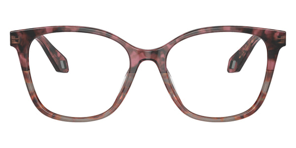 Bordeaux Havana Gray / 53-17-140