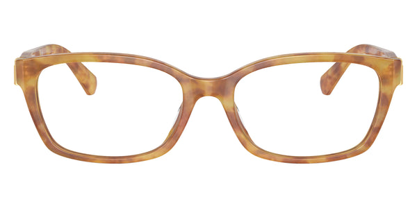 Light Havana / 53-17-145