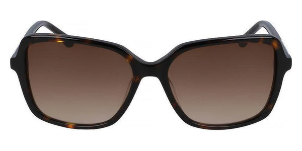 Tortoise / 55-15-140