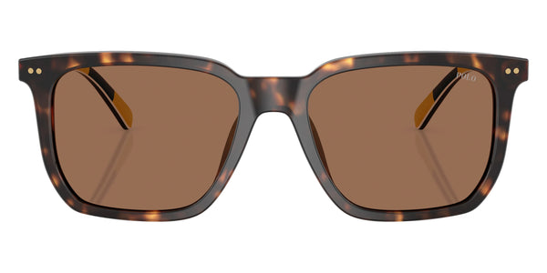 Shiny Dark Havana/Havana/Stripes / Dark Brown / 55-18-145