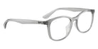 Ray-Ban RX7093D 8012 54 - Transparent Gray