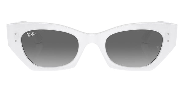 White Snow / Gray / 52-22-145