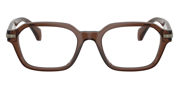 Shiny Opal Brown / 51-19-145