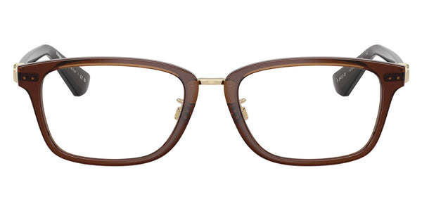 Brown/Light Gold / 53-18-140