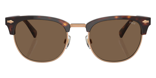 Shiny Brown Tortoise / Brown / 53-21-145