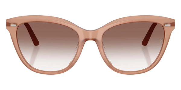 Hibiscus / Earth Gradient / 55-18-145