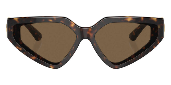 Havana / Dark Brown / 59-15-145