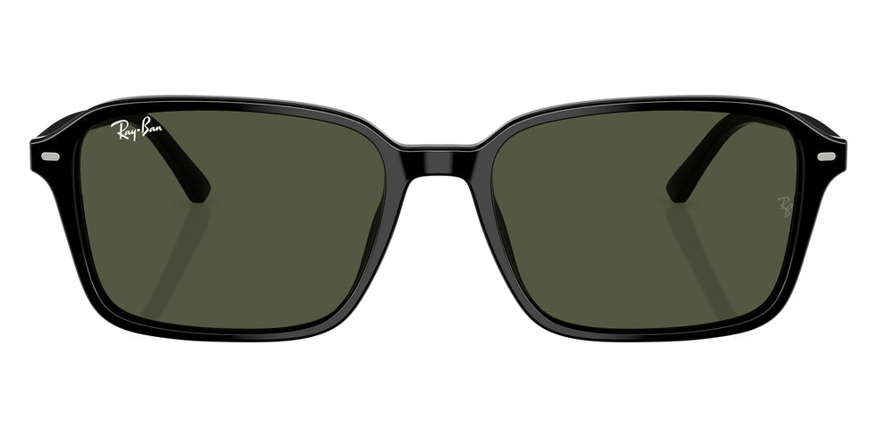 Ray-Ban - Raimond RB2231