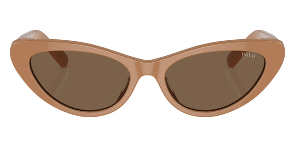 Shiny Brown / Dark Brown / 54-16-145