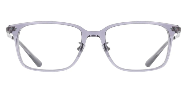 Transparent Gray / 53-18-145