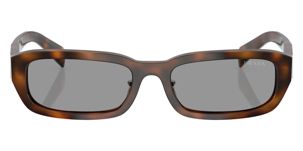 Juniper Tortoise / Gray / 55-18-145