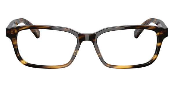 Tortoise / 51-15-140