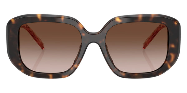 Dark Tortoise / Gradient Brown / 54-18-140