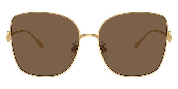 Shiny Gold / Dark Brown / 60-16-145