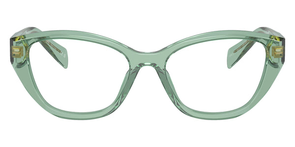 Transparent Sage / 51-17-145