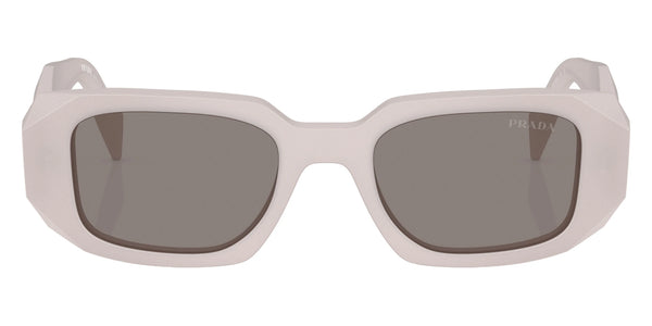 Frosted Tortoise / Dark Gray / 51-20-145