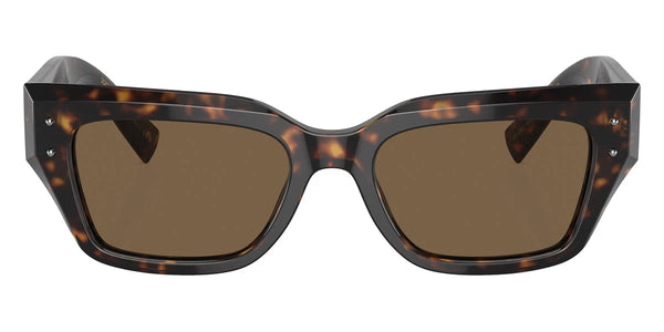 Havana / Dark Brown / 52-18-145