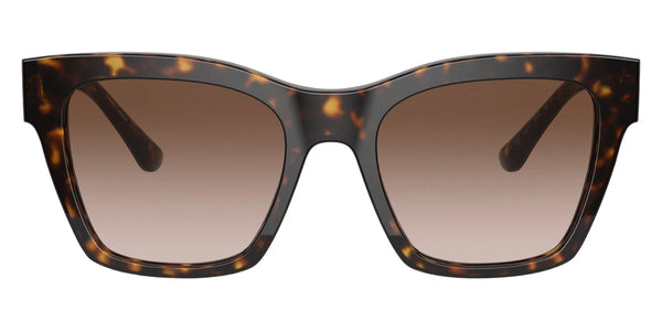 Havana / Brown Gradient Dark Brown / 53-20-145