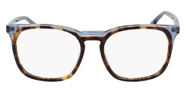 Blue Tortoise / 51-17-140