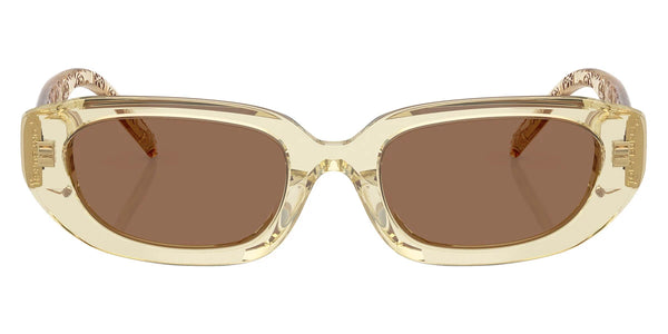 Yellow / Brown / 52-20-140