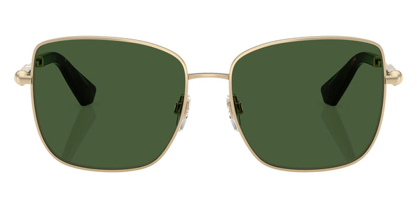 Light Gold / Dark Green / 58-16-145