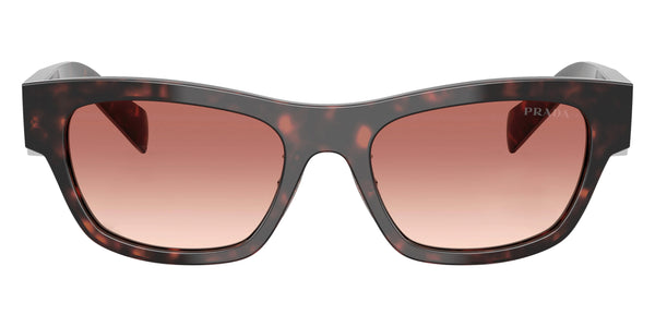 Root Tortoise / Light Brown Gradient Bordeaux / 53-19-145