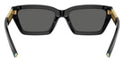 TIFFANY TF4213 8001S4 54 - Black / Dark Gray