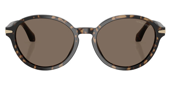 Havana Beige / Dark Brown / 54-17-140