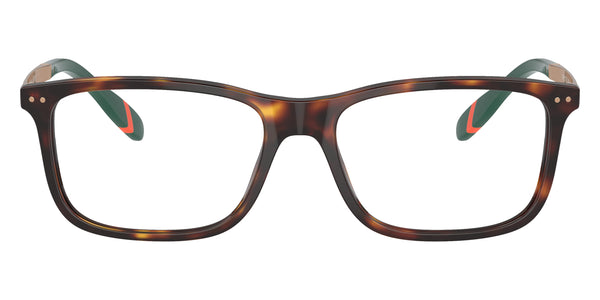 Shiny Brown Tortoise/Antique Gold/Green / 54-16-145