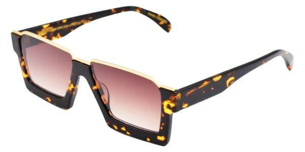 Tortoise / Gradient Brown AR / 56-15-150