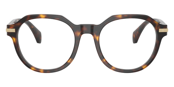 Shiny Havana / 50-20-145