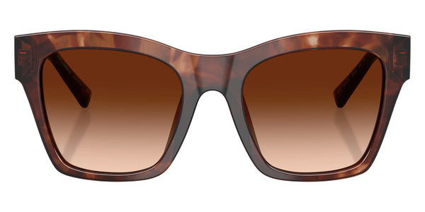 Dark Red Havana / Brown Gradient / 53-20-145