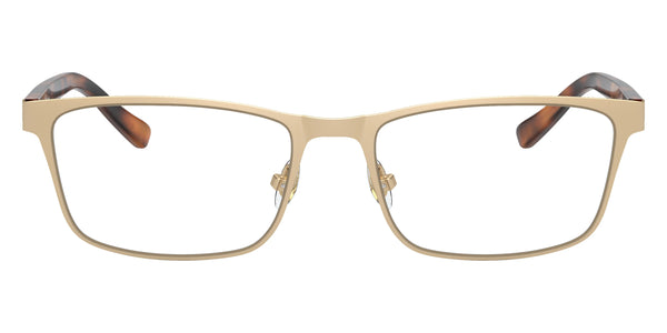 Matte Light Gold/Warm Tortoise / 53-18-145