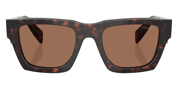 Root Tortoise / Dark Brown / 54-19-145