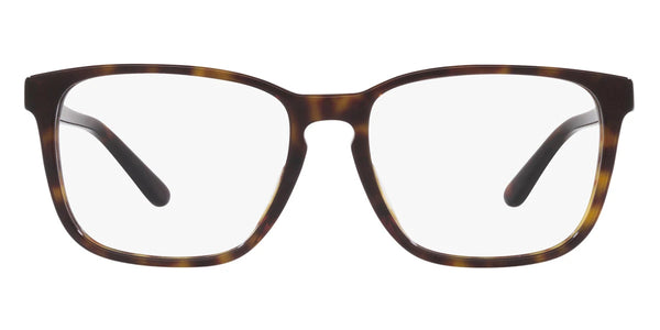 Shiny Dark Havana / 54-17-145