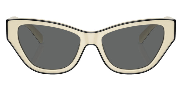 Ivory/Black / Dark Gray / 54-16-145