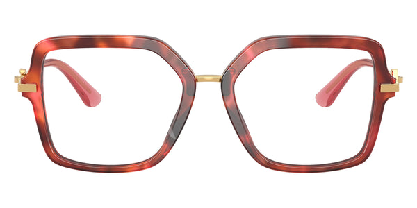 Havana Brown/Gold / 53-18-140