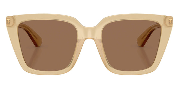 Yellow / Dark Brown / 52-19-140