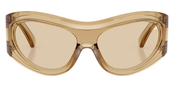 Champagne / Light Brown / 138-0-135