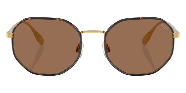 Semishiny Gold / Dark Brown / 56-20-145