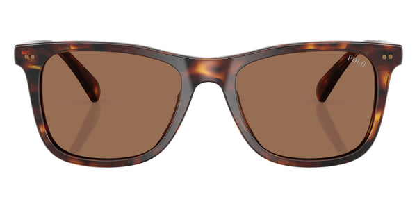 Shiny Brown Tortoise / Dark Brown / 55-19-145