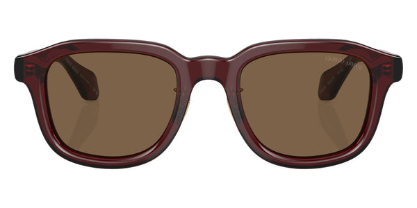 Transparent Brown / Dark Brown / 51-22-145