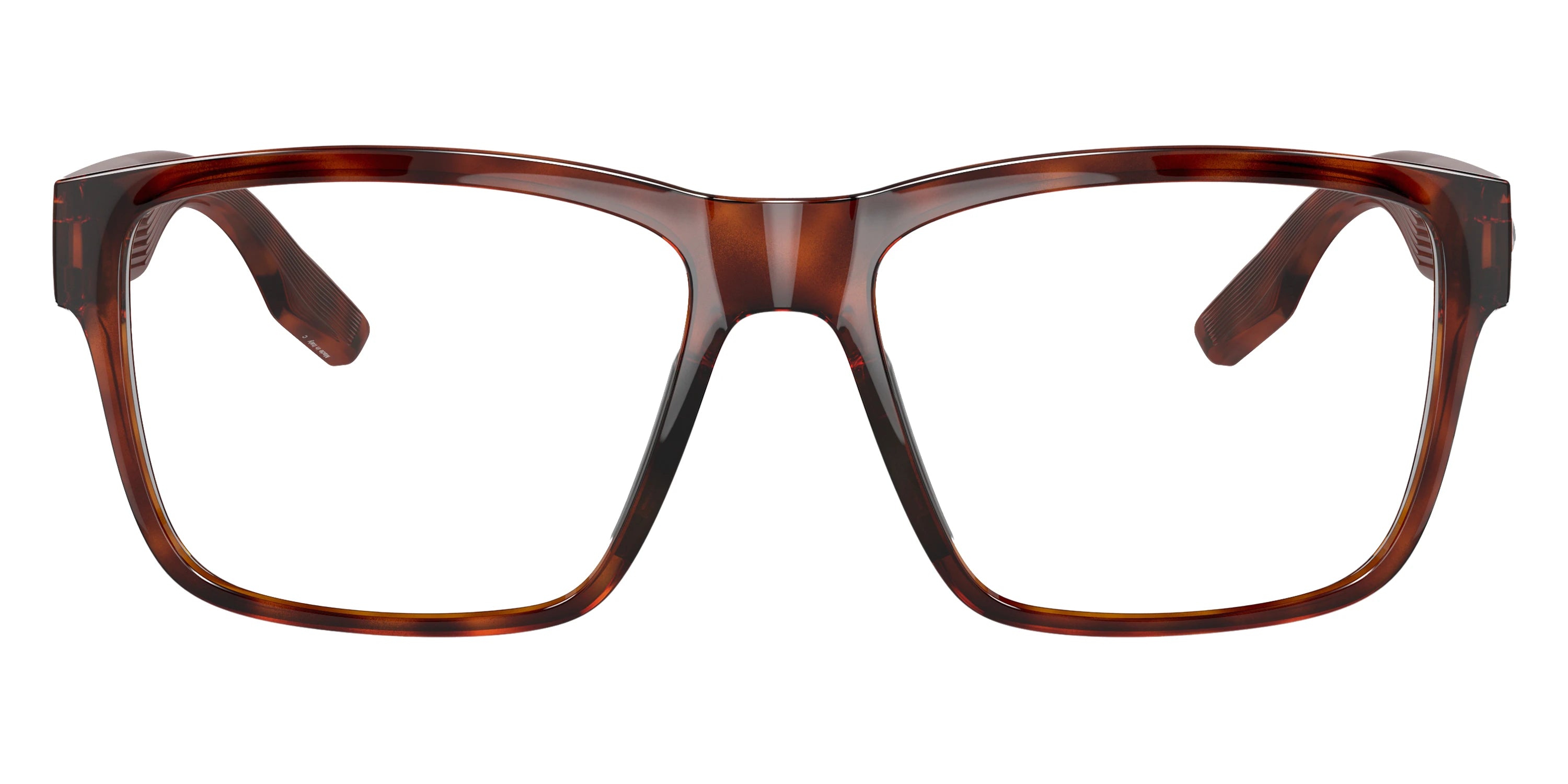 COSTA - 6A9049V Paunch RX