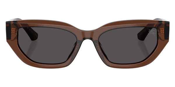 Brown / Dark Gray / 54-18-140