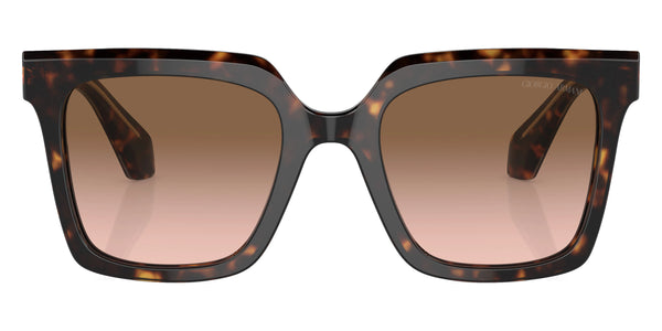 Havana/Yellow Havana / Brown Gradient / 52-21-140