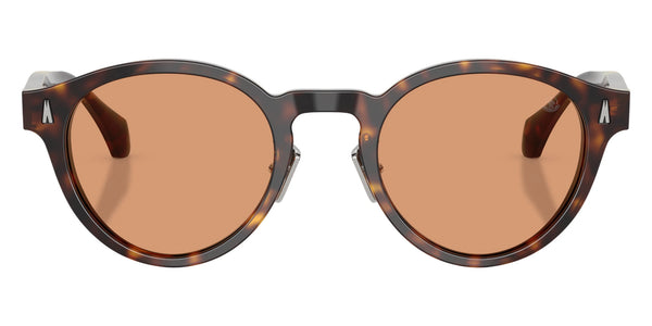 Shiny Havana / Brown Solid / 49-22-140