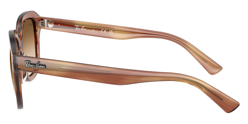 Ray-Ban - Erik RB4398