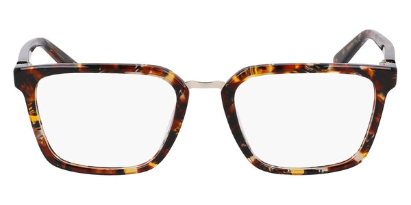 Amber Tortoise / 54-20-140
