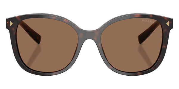 Root Tortoise / Dark Brown / 55-16-145