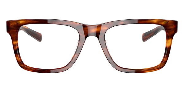 Tortoise / 55-20-140